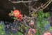 DSCF0076