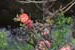 DSCF0077
