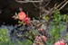 DSCF0079