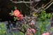 DSCF0080