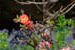 DSCF0081