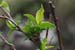DSCF0083