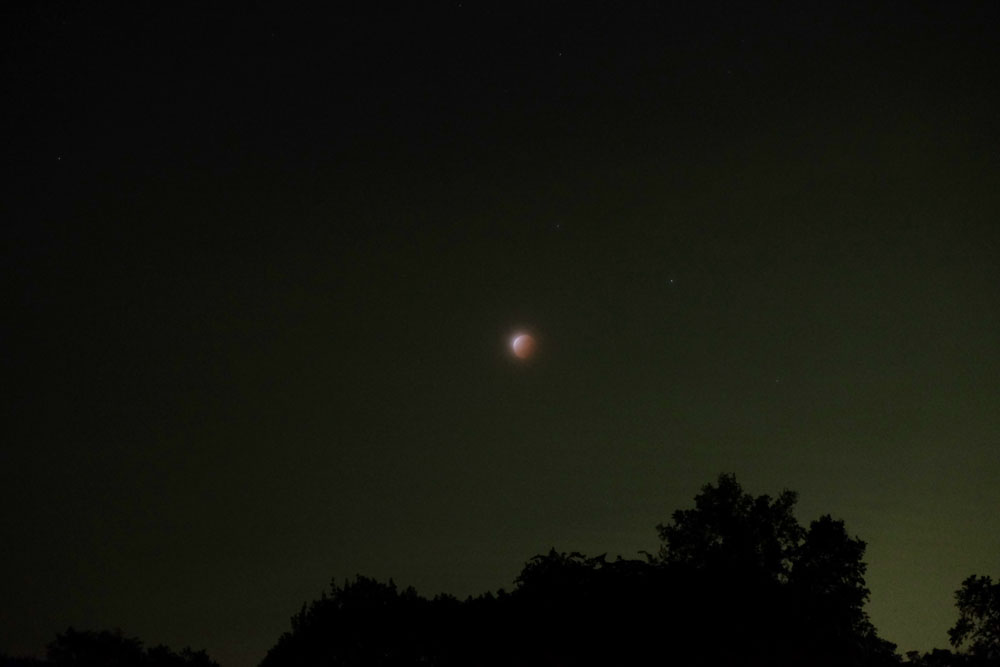 DSCF0655