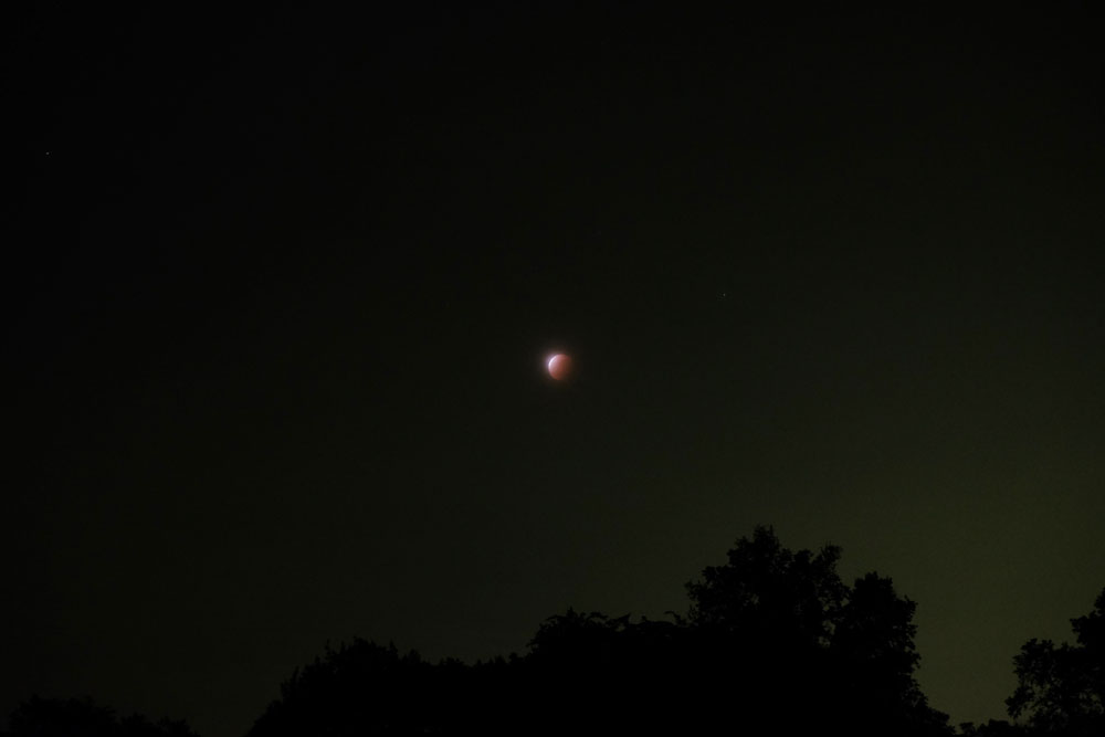 DSCF0656