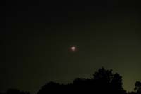 DSCF0655