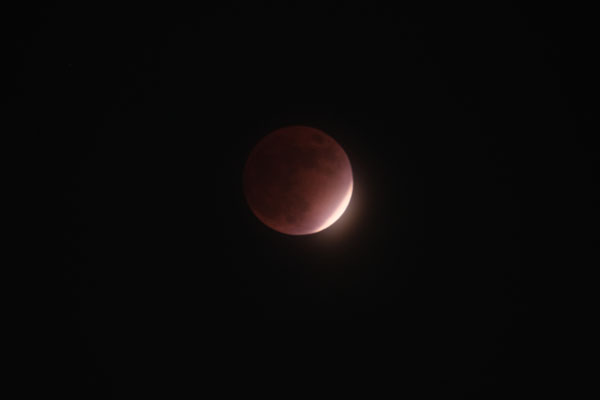 DSCF0058