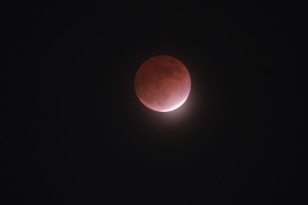 DSCF0079