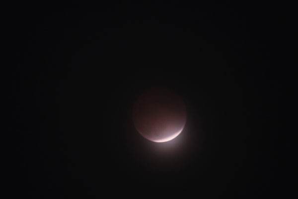 DSCF0084