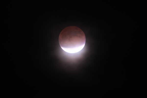 DSCF0099