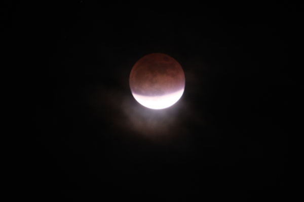 DSCF0104