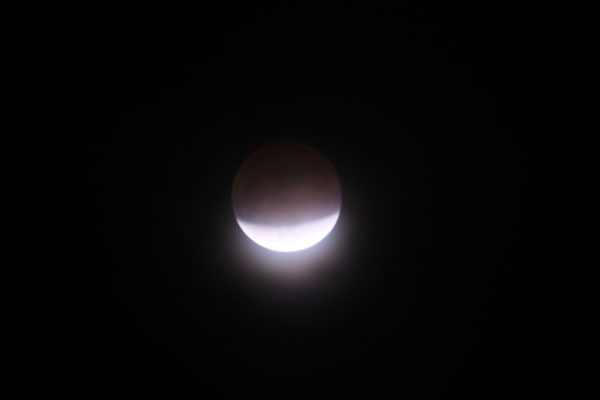 DSCF0106