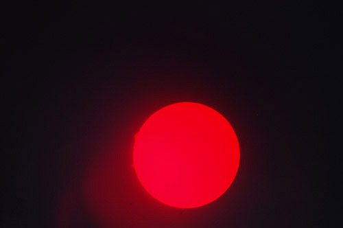 DSC_0220