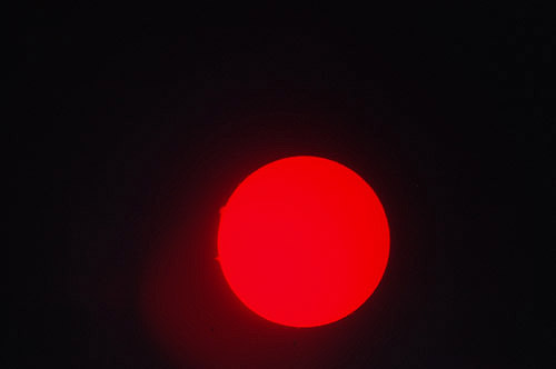 DSC_0221