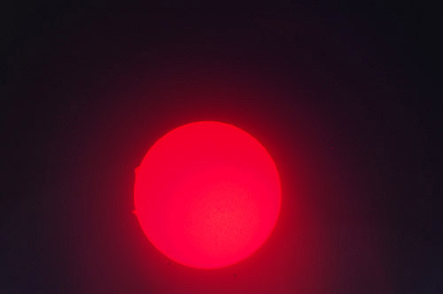 DSC_0226