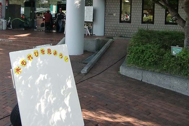 CIMG6253