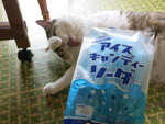 46933.jpg (407KB)