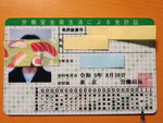 47078.jpg (598KB)