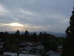 47279.jpg (593KB)