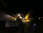 47297.jpg (286KB)