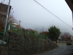 47321.jpg (640KB)