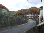 47322.jpg (640KB)