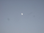 47324.jpg (596KB)