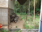 49355.jpg (1529KB)