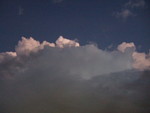 49384.jpg (594KB)