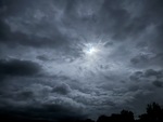 49466.jpg (685KB)