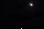 49521.jpg (950KB)