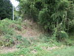 49582.jpg (634KB)