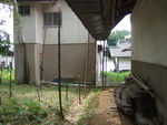 50297.jpg (619KB)