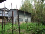 50298.jpg (639KB)