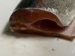 50401.jpg (1567KB)