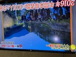 50441.jpg (2710KB)